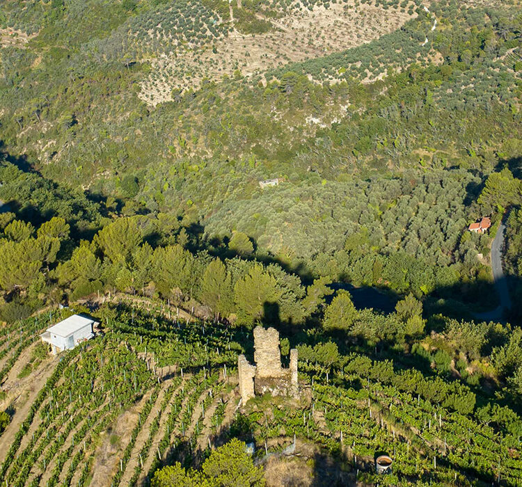 POI1_Rochin1 POI1_Rochin1