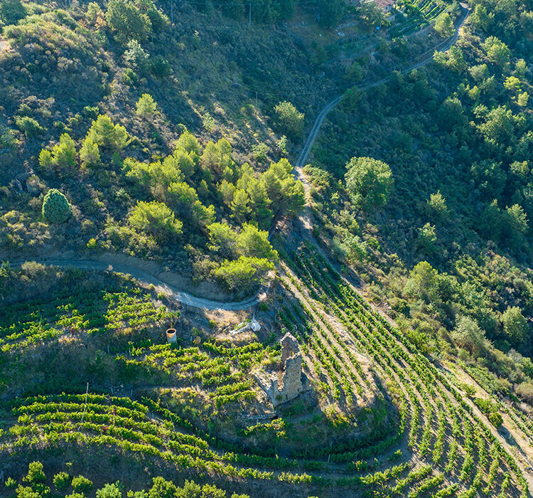 POI1_Rochin2 POI1_Rochin2