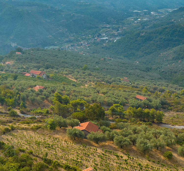 POI6_Tramontina2 POI6_Tramontina2