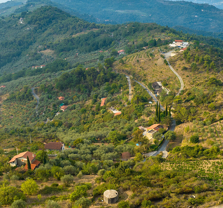 POI6_Tramontina3 POI6_Tramontina3