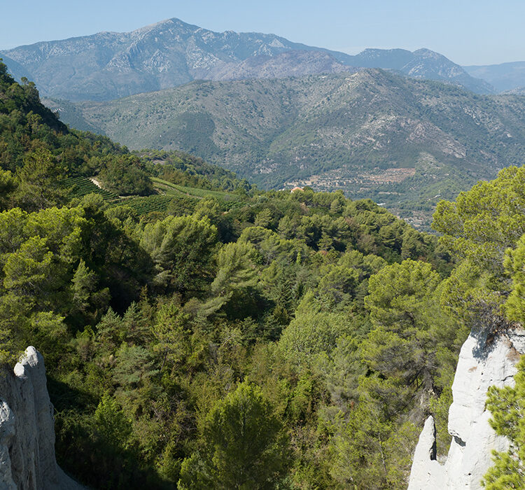 Il passo di terra Bianca Il passo di terra Bianca