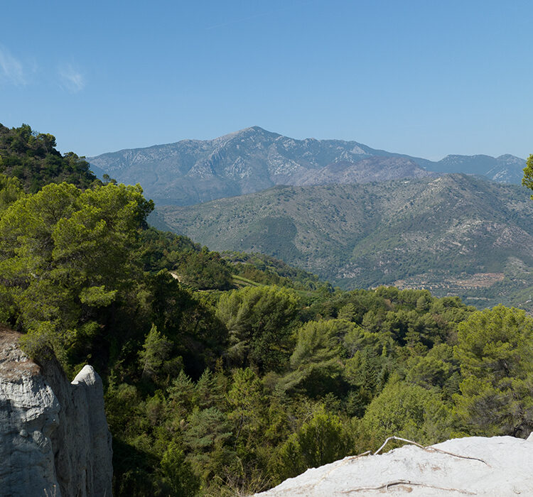 Il passo di terra Bianca Il passo di terra Bianca
