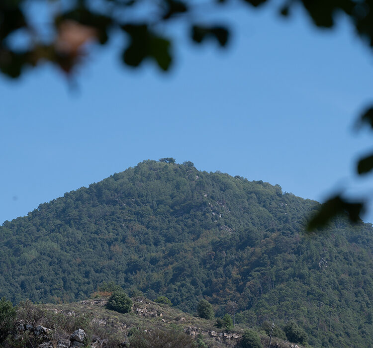 Monte caggio Monte caggio