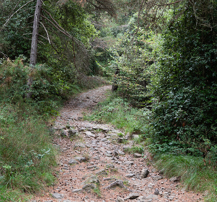 Monte caggio Monte caggio