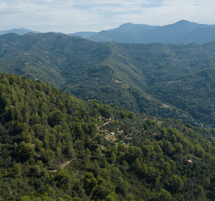 Monte curto Monte curto