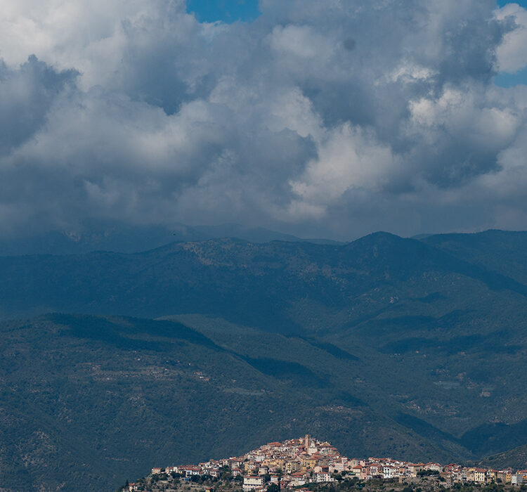 Nomeranza Negi Nomeranza Negi