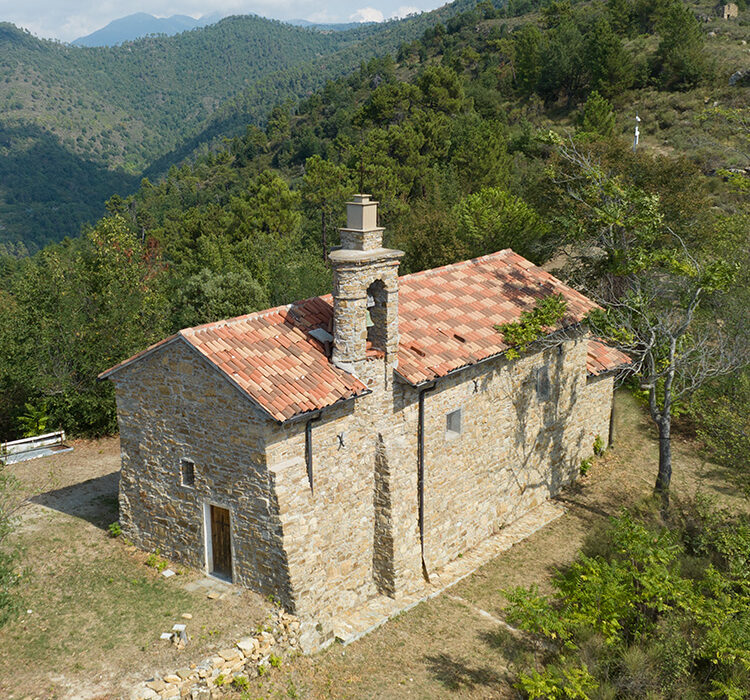 Nomeranza Negi Nomeranza Negi