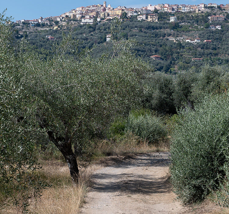 Perinaldo Osservatorio Perinaldo Osservatorio