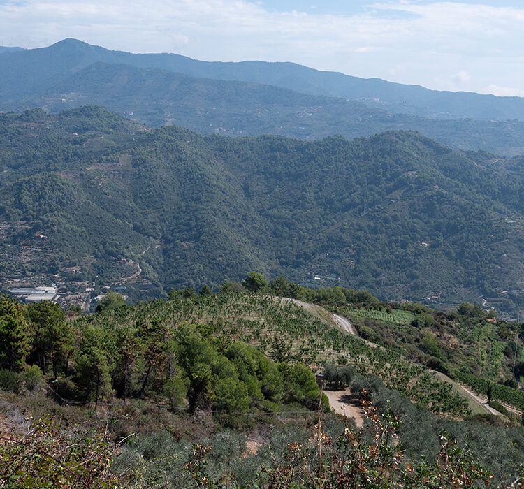 Pian del Vescovo Pian del Vescovo