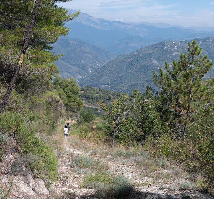 Pian del Vescovo Pian del Vescovo
