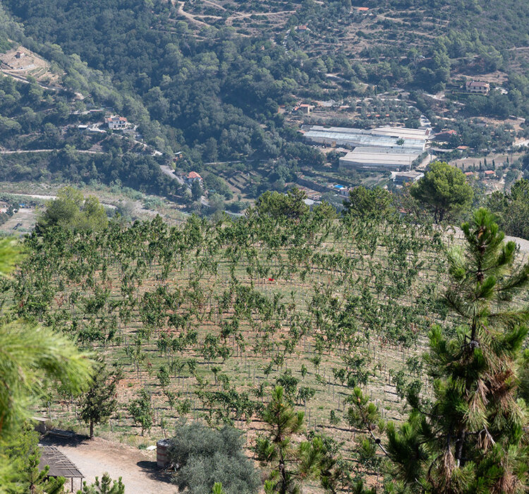 Pian del Vescovo Pian del Vescovo