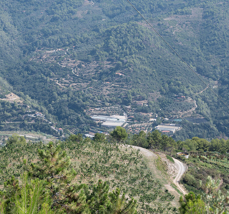 Pian del Vescovo Pian del Vescovo