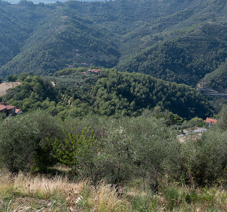 Perinaldo Savoia Perinaldo Savoia