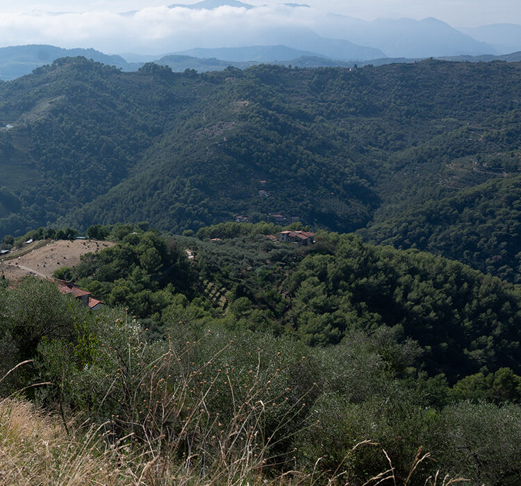 POI_Savoia_2 POI_Savoia_2