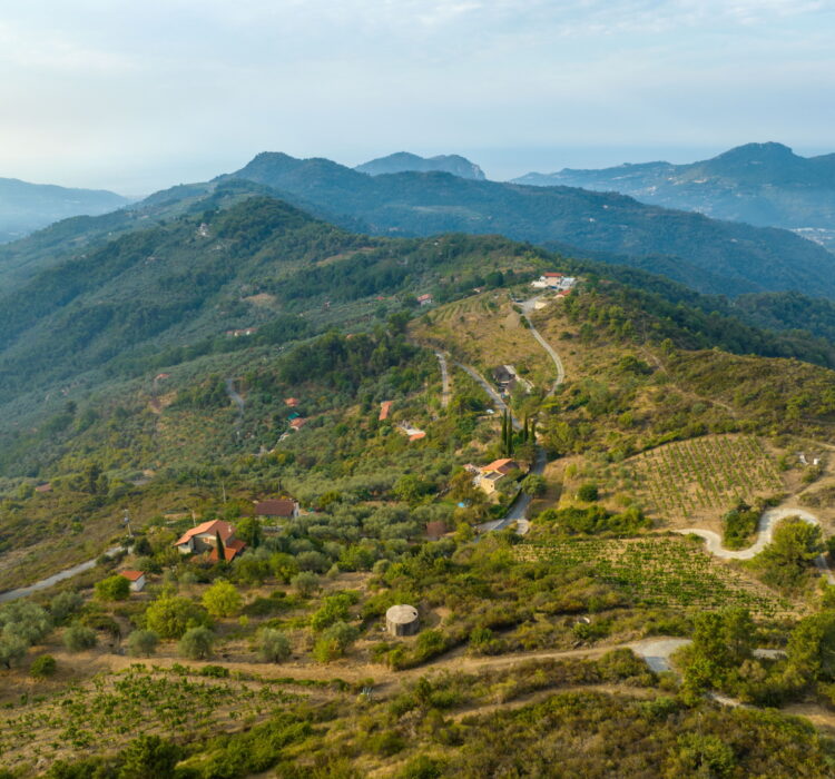 Dolceacqua entroterra e paesi vicini - Nomeranza, Tramontina, Castellaro Dolceacqua entroterra e paesi vicini - Nomeranza, Tramontina, Castellaro